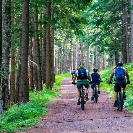 Apartamento In Near Seaside *